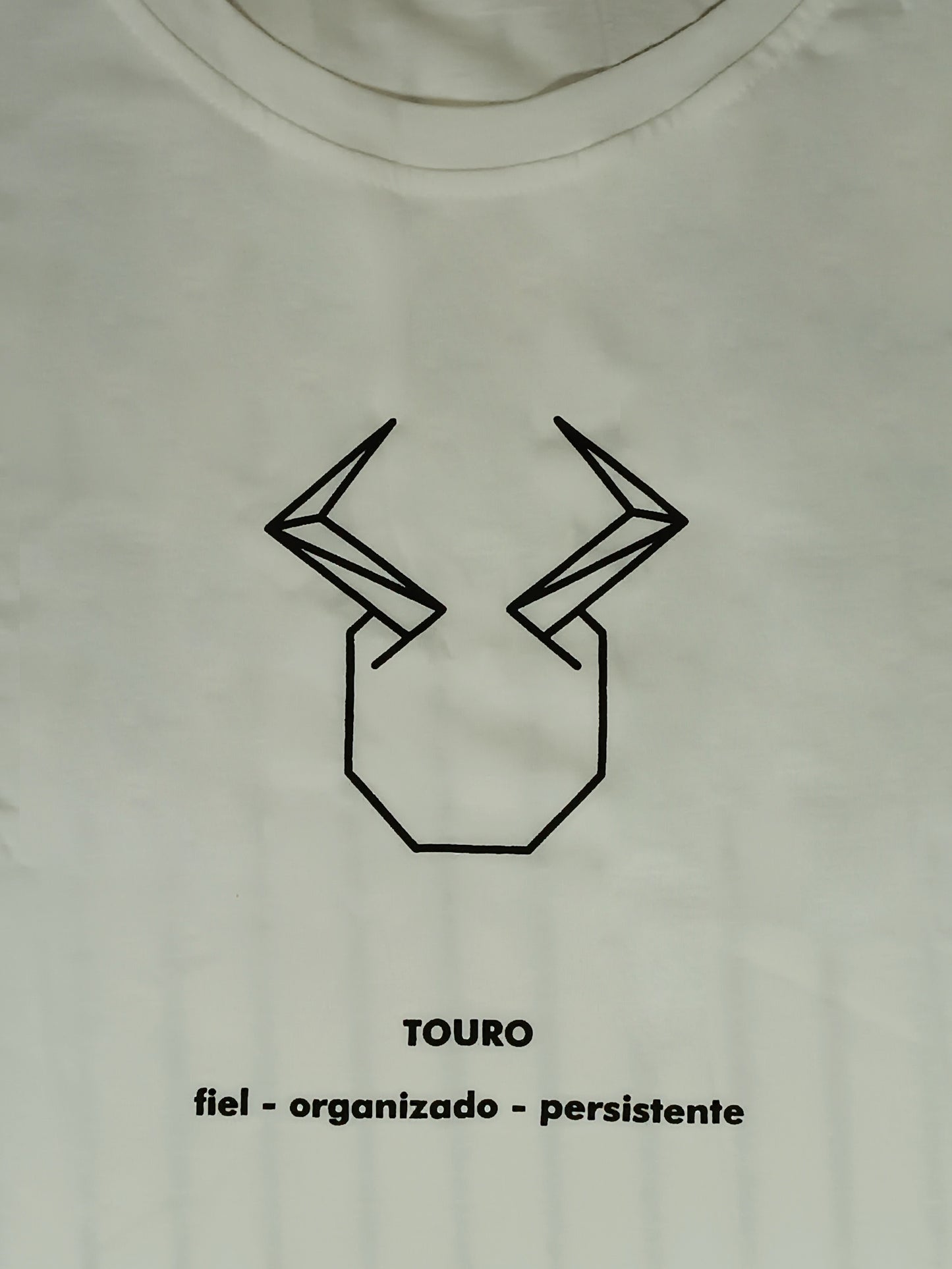 Zodiac T-Shirt