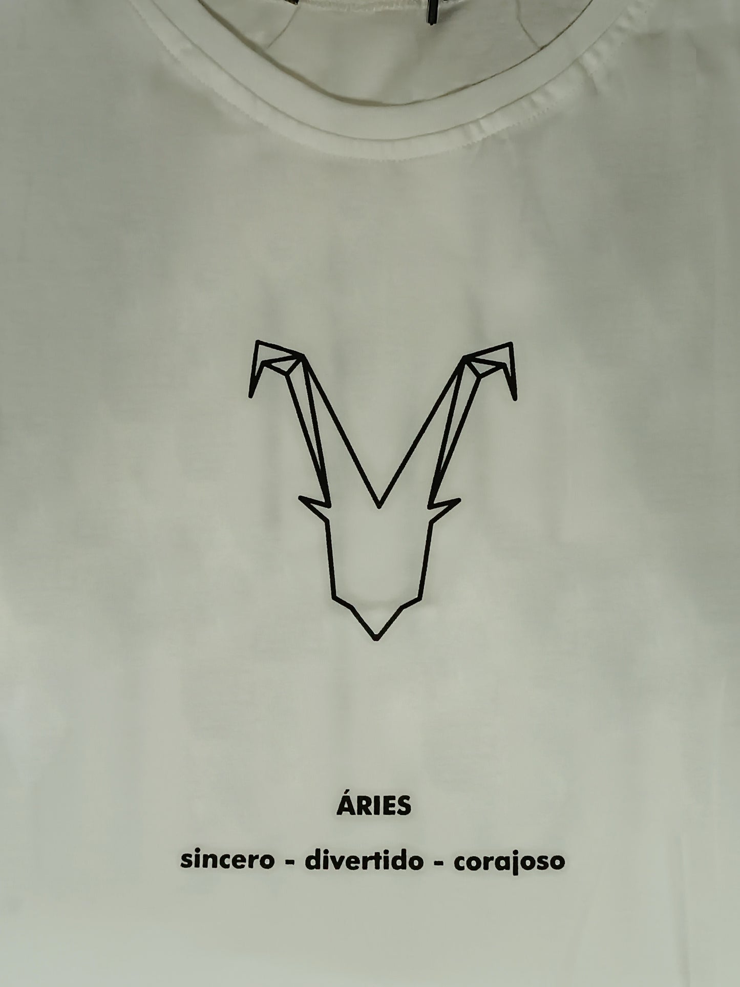 Zodiac T-Shirt