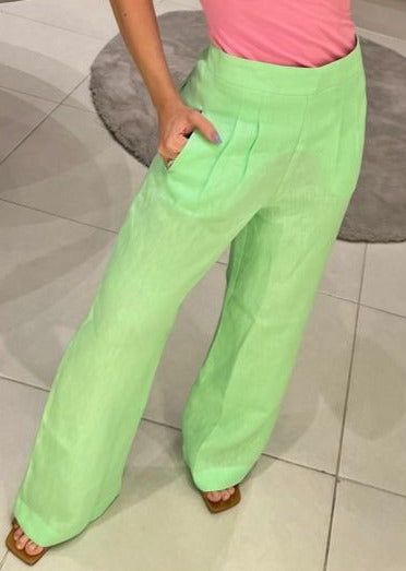 Calça c/ pregas e bolso verdugo
